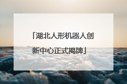 湖北人形机器人创新中心正式揭牌