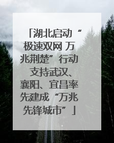 湖北启动“极速双网 万兆荆楚”行动 支持武汉、襄阳、宜昌率先建成“万兆先锋城市”