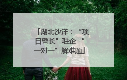 湖北沙洋：“项目警长”驻企 “一对一”解难题