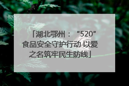 湖北鄂州：“520”食品安全守护行动 以爱之名筑牢民生防线