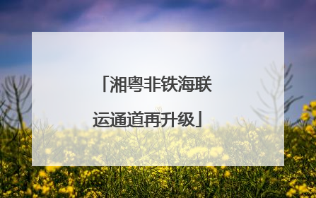 湘粤非铁海联运通道再升级