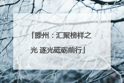 滕州：汇聚榜样之光 逐光砥砺前行