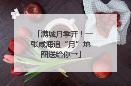 满城月季开！一张威海追“月”地图送给你→