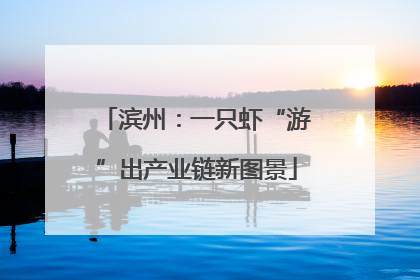 滨州：一只虾“游”出产业链新图景