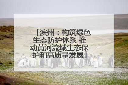 滨州：构筑绿色生态防护体系 推动黄河流域生态保护和高质量发展