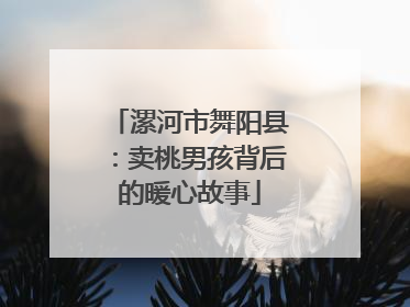 漯河市舞阳县：卖桃男孩背后的暖心故事