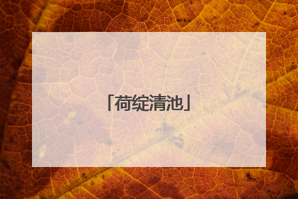 荷绽清池