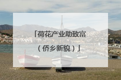 荷花产业助致富（侨乡新貌）