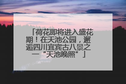 荷花即将进入盛花期！在天池公园，邂逅四川宜宾古八景之一“天池晚照”