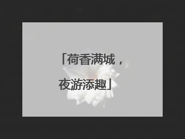 荷香满城，夜游添趣