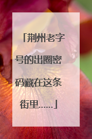 荆州老字号的出圈密码藏在这条街里……
