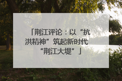 荆江评论：以“抗洪精神”筑起新时代“荆江大堤”