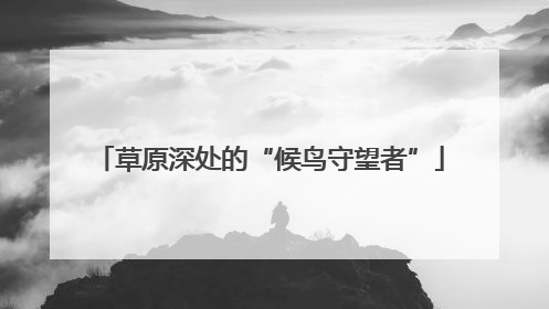 草原深处的“候鸟守望者”