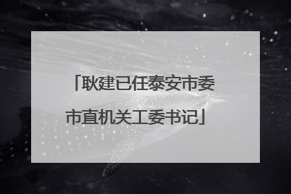 耿建已任泰安市委市直机关工委书记