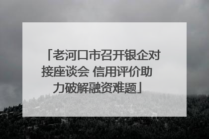 老河口市召开银企对接座谈会 信用评价助力破解融资难题