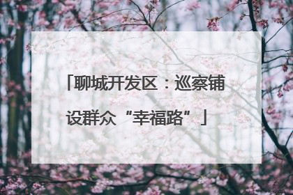 聊城开发区：巡察铺设群众“幸福路”