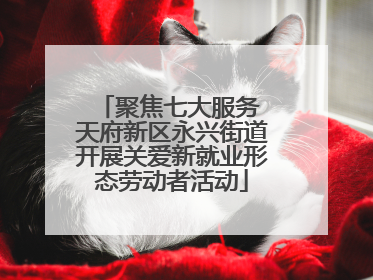 聚焦七大服务 天府新区永兴街道开展关爱新就业形态劳动者活动