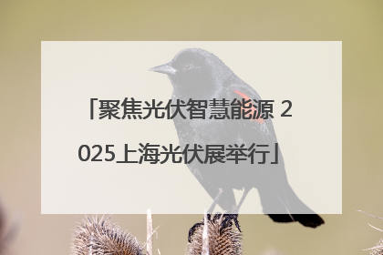 聚焦光伏智慧能源 2025上海光伏展举行