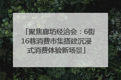 聚焦廊坊经洽会：6街16巷消费市集搭建沉浸式消费体验新场景