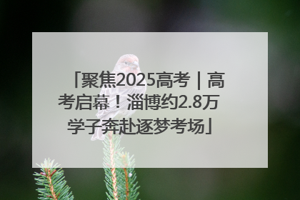 聚焦2025高考｜高考启幕！淄博约2.8万学子奔赴逐梦考场