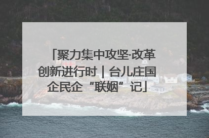 聚力集中攻坚·改革创新进行时｜台儿庄国企民企“联姻”记