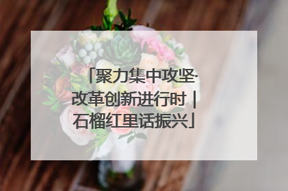 聚力集中攻坚·改革创新进行时｜石榴红里话振兴