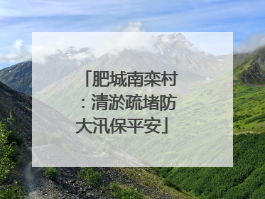 肥城南栾村：清淤疏堵防大汛保平安