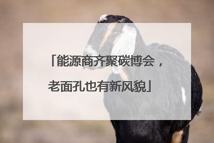 能源商齐聚碳博会，老面孔也有新风貌