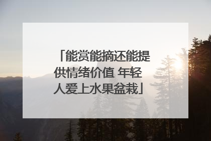 能赏能摘还能提供情绪价值 年轻人爱上水果盆栽