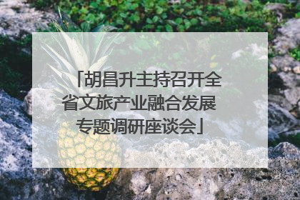 胡昌升主持召开全省文旅产业融合发展专题调研座谈会