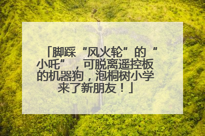 脚踩“风火轮”的“小吒”，可脱离遥控板的机器狗，泡桐树小学来了新朋友！