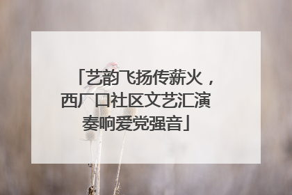 艺韵飞扬传薪火，西厂口社区文艺汇演奏响爱党强音