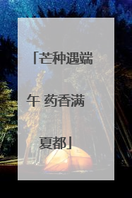 芒种遇端午 药香满夏都