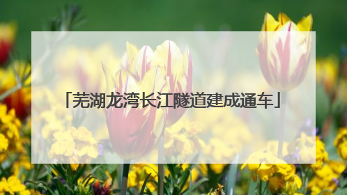芜湖龙湾长江隧道建成通车
