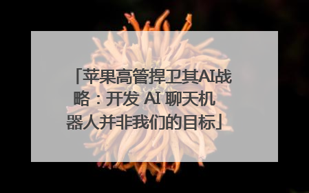 苹果高管捍卫其AI战略：开发 AI 聊天机器人并非我们的目标