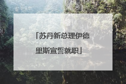 苏丹新总理伊德里斯宣誓就职