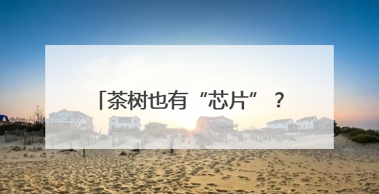 茶树也有“芯片”？守护者是他们……