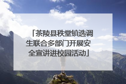 茶陵县秩堂镇选调生联合多部门开展安全宣讲进校园活动