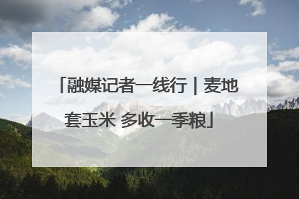 融媒记者一线行｜麦地套玉米 多收一季粮