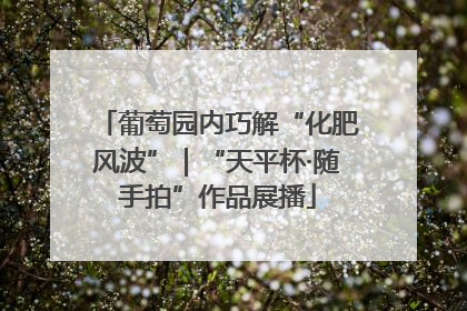 葡萄园内巧解“化肥风波”｜“天平杯·随手拍”作品展播