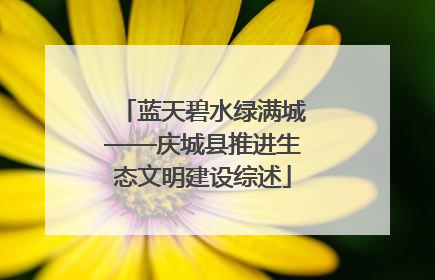 蓝天碧水绿满城——庆城县推进生态文明建设综述
