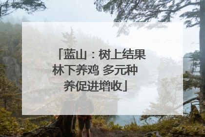 蓝山：树上结果林下养鸡 多元种养促进增收