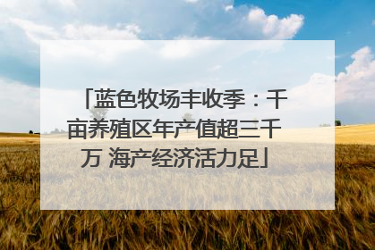 蓝色牧场丰收季：千亩养殖区年产值超三千万 海产经济活力足