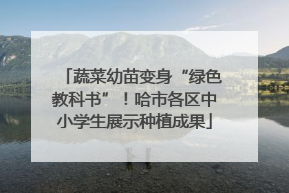 蔬菜幼苗变身“绿色教科书”！哈市各区中小学生展示种植成果