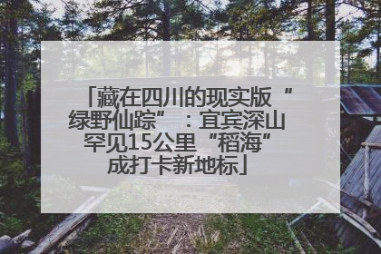 藏在四川的现实版“绿野仙踪”：宜宾深山罕见15公里“稻海”成打卡新地标