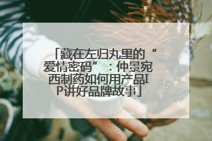 藏在左归丸里的“爱情密码”：仲景宛西制药如何用产品IP讲好品牌故事
