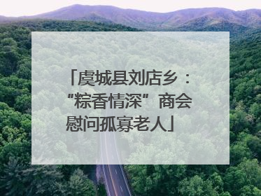 虞城县刘店乡：“粽香情深”商会慰问孤寡老人