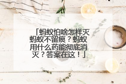蚂蚁怕啥怎样灭蚂蚁不留痕？蚂蚁用什么药能彻底消灭？答案在这！