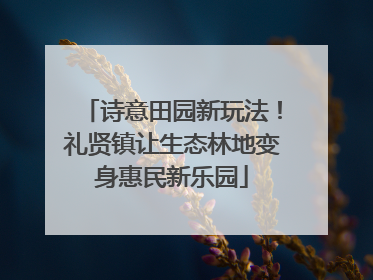 诗意田园新玩法！礼贤镇让生态林地变身惠民新乐园