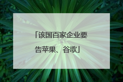 该国百家企业要告苹果、谷歌
